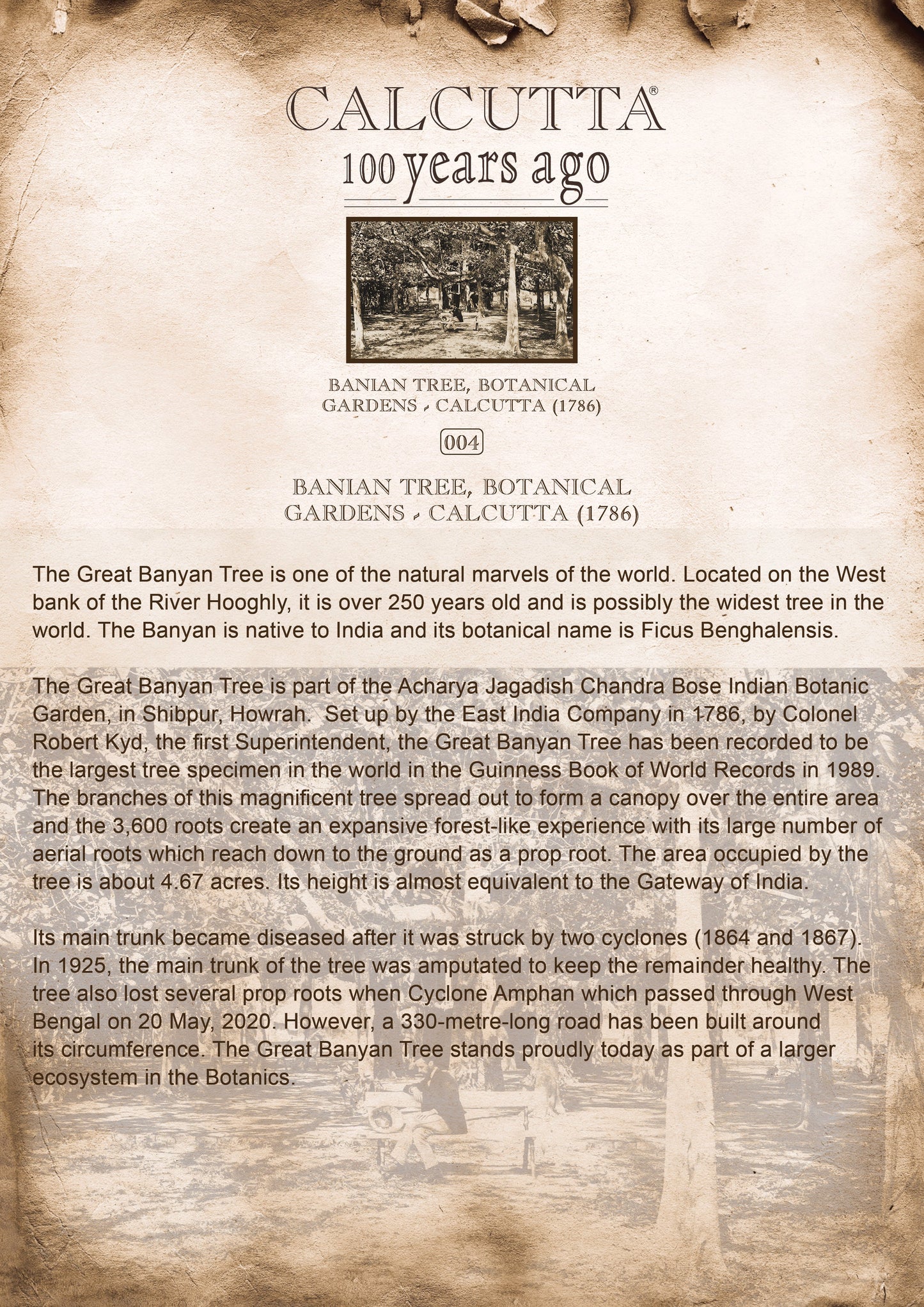 history-notes