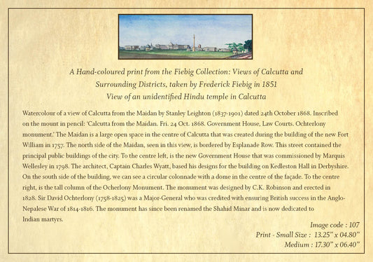 A Hand-Coloured Print from the Fiebeg Collection (Code: 107) – Coloured Lithograph