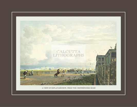 A View of Esplanade Row, from the Chowringhee Road (Code: 004) – Coloured Lithograph