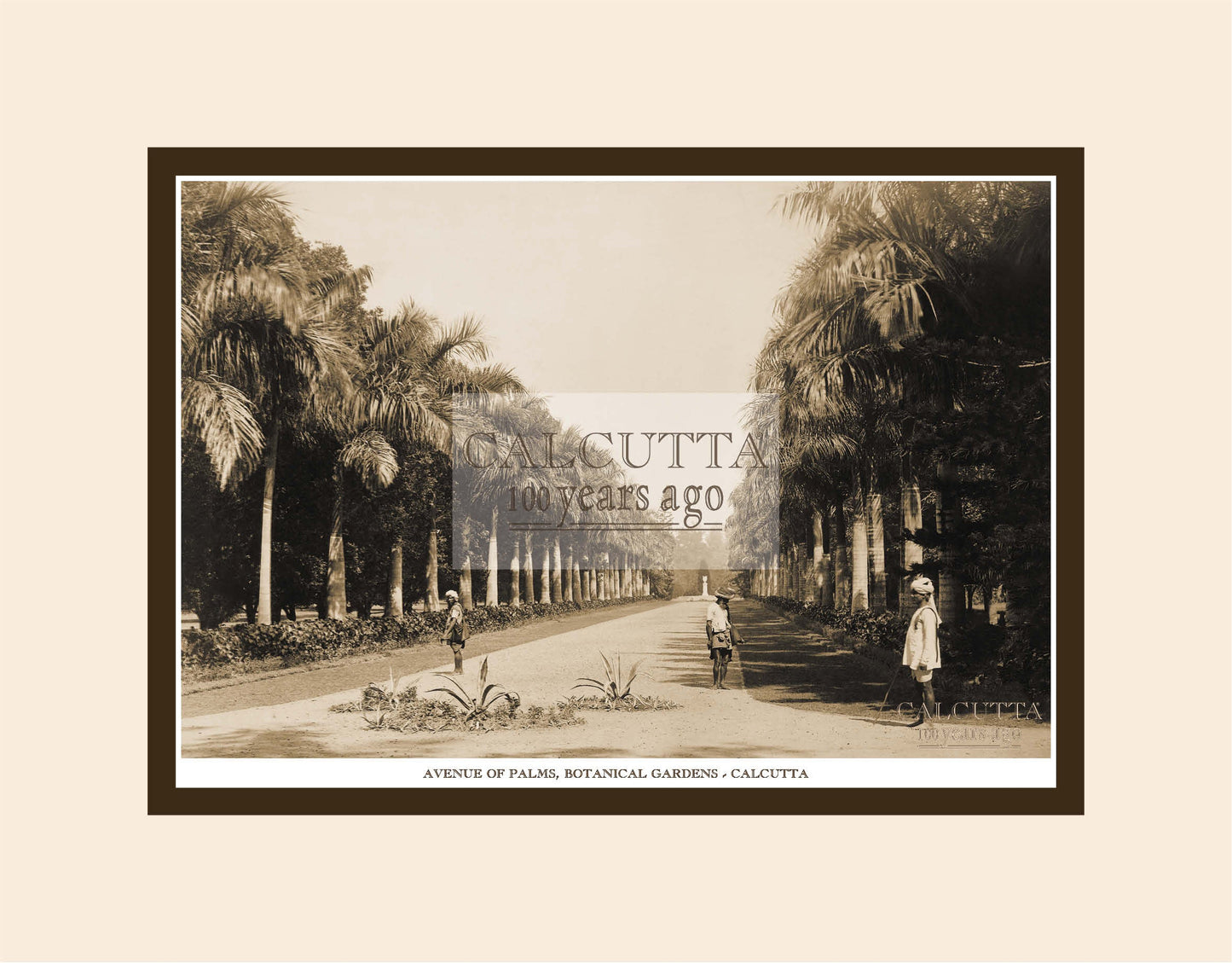 Avenue Of Palms, Botanical Gardens (Code: 2) Mounted Photo Print