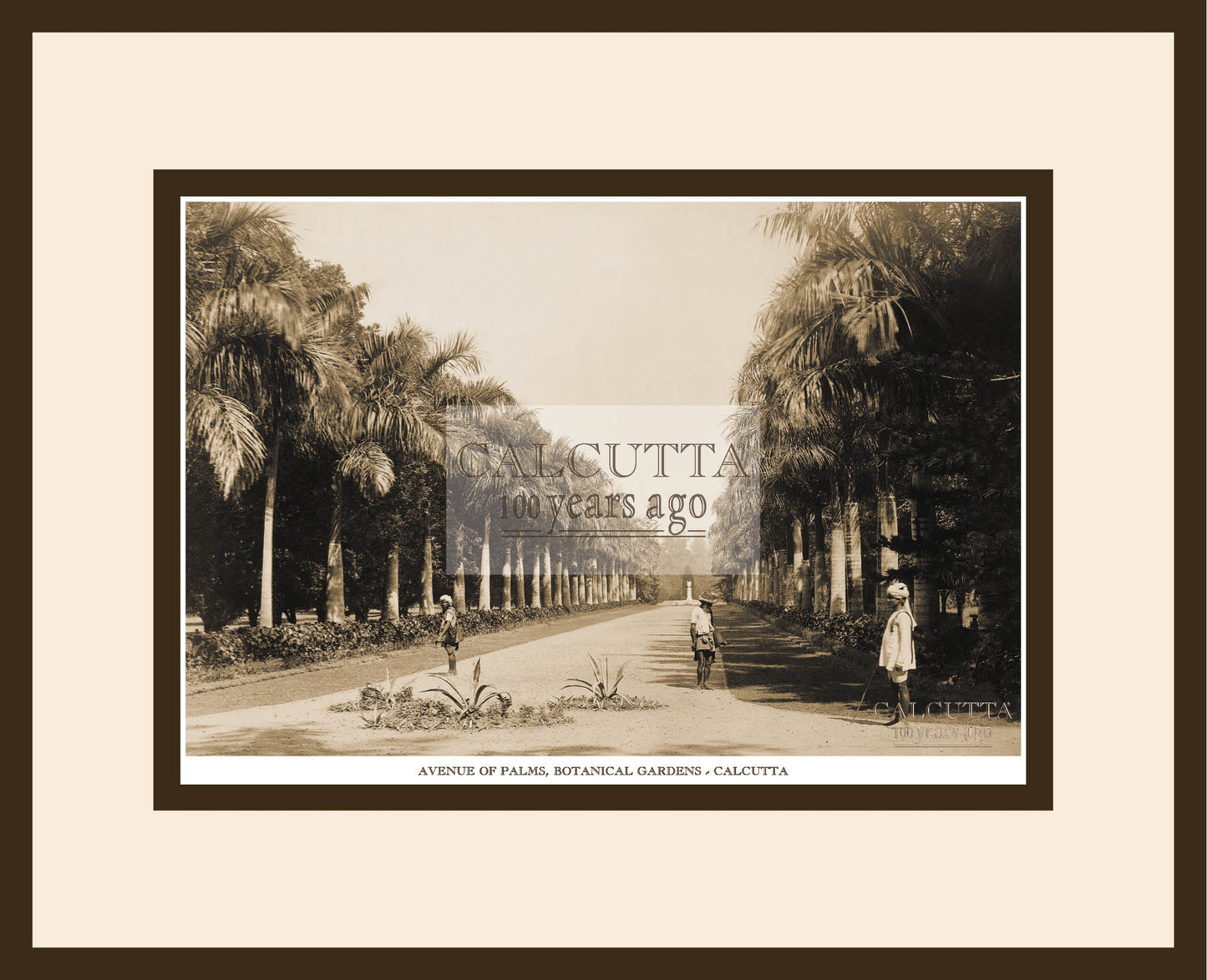 Avenue Of Palms, Botanical Gardens (Code: 2) Wood Frame
