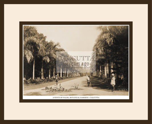 Avenue Of Palms, Botanical Gardens (Code: 2) Wood Frame