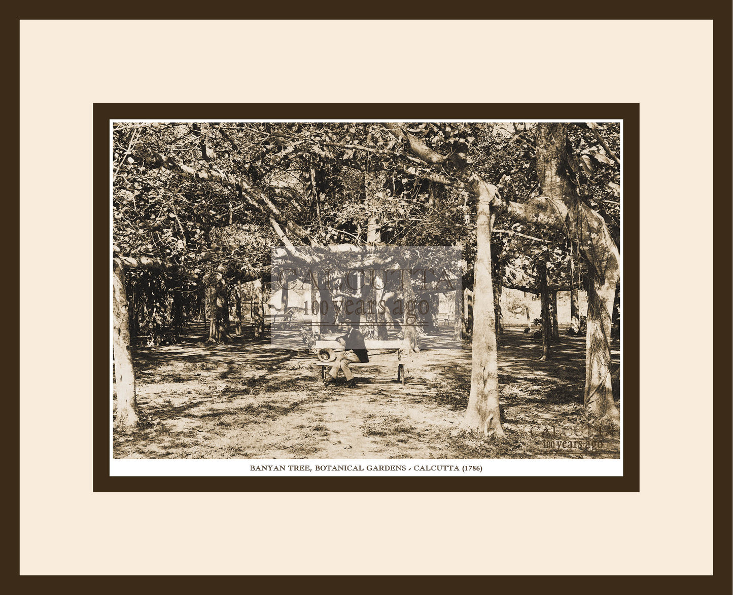 Banian Botanical Garden (Code: 4) Wood Frame