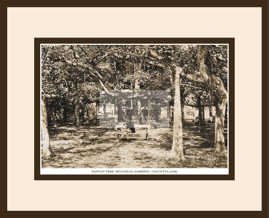 Banian Botanical Garden (Code: 4) Wood Frame
