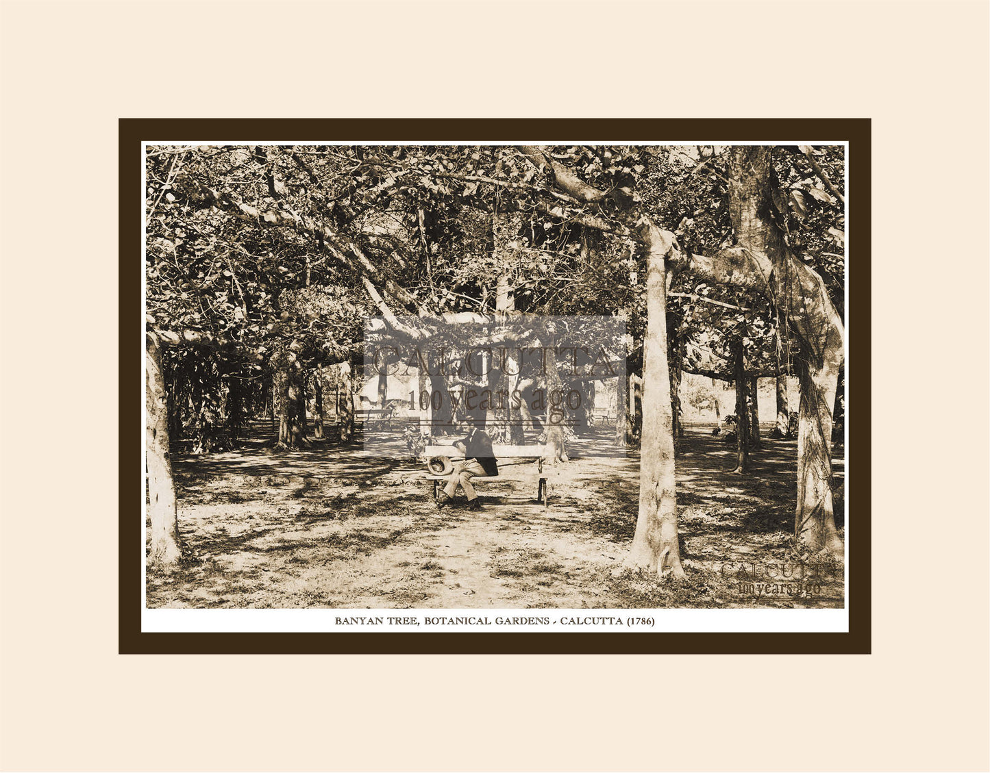 Banian Botanical Garden (Code: 4) Mounted Photo Print