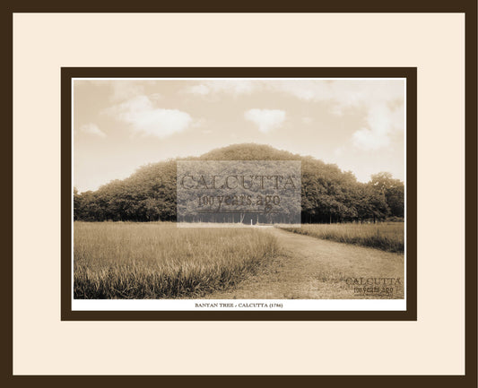 Banyan Tree (Code: 5) Wood Frame