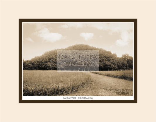 Banyan Tree (Code: 5) Mounted Photo Print