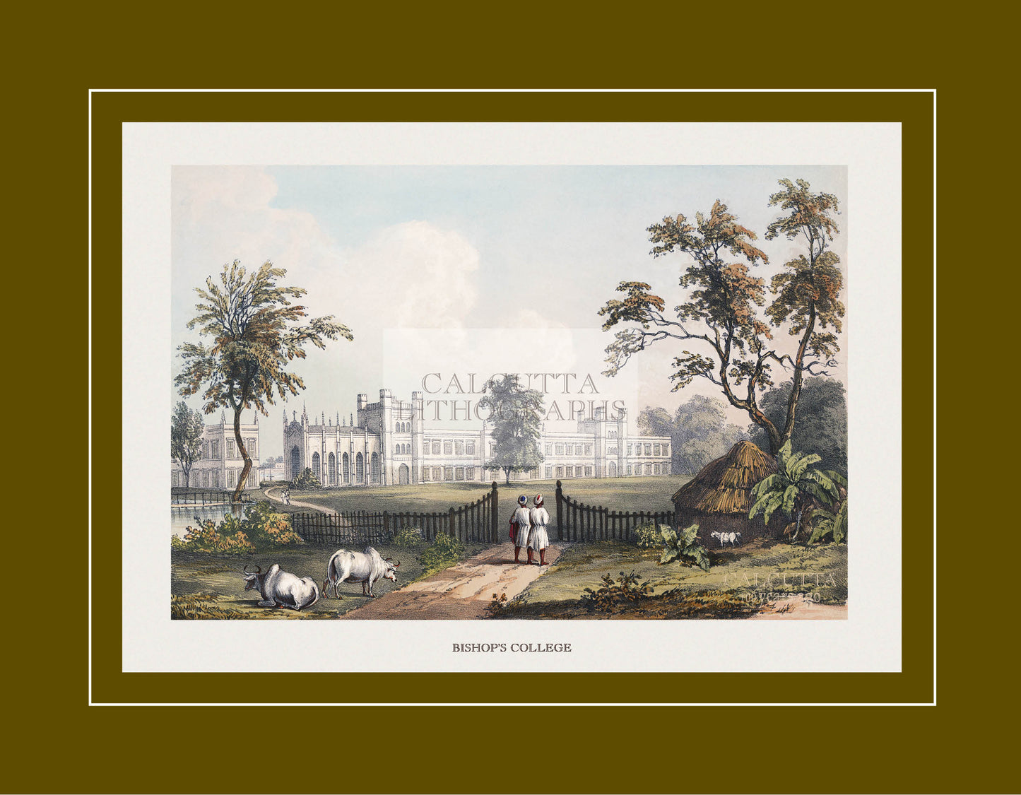 Bishop’s College (Code: 019) – Coloured Lithograph