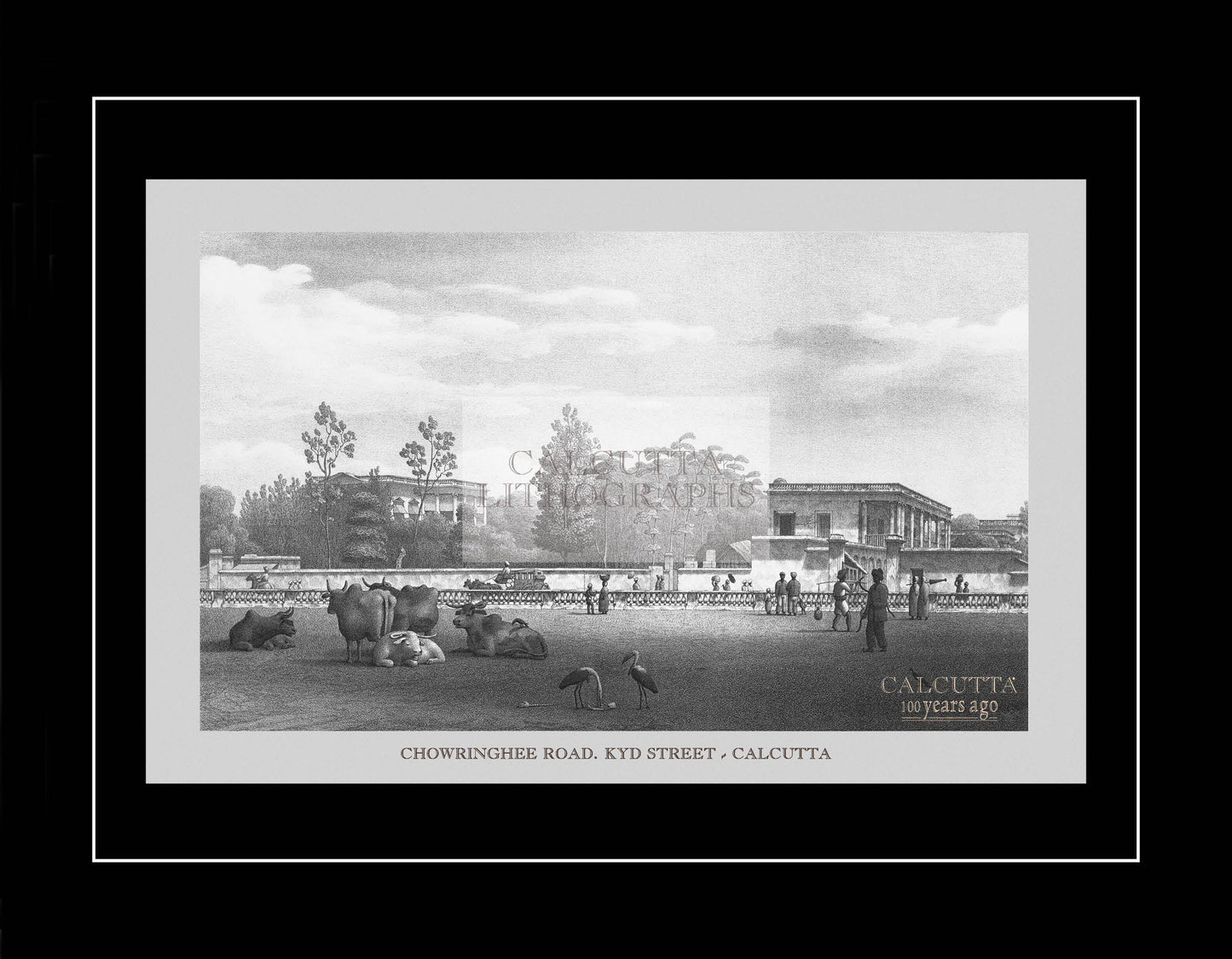 Chowringhee Road. Kyd Street (Code: 023) – Black & White Lithograph