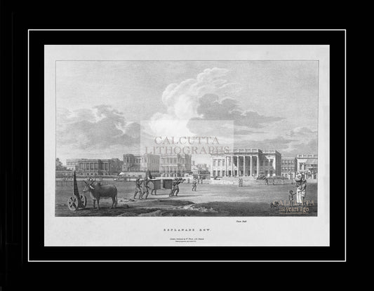 Esplanade Row – Calcutta (Code: 031) – Black & White Lithograph