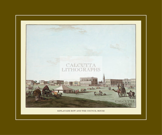 Esplanade Row and the Council House (Code: 031) – Coloured Lithograph