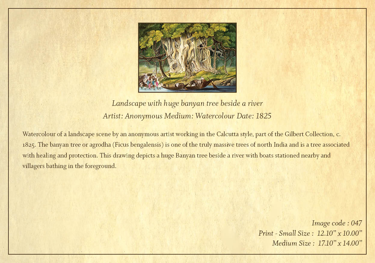 Landscape with Huge Banyan Tree beside a River (Code: 047) – Coloured Lithograph