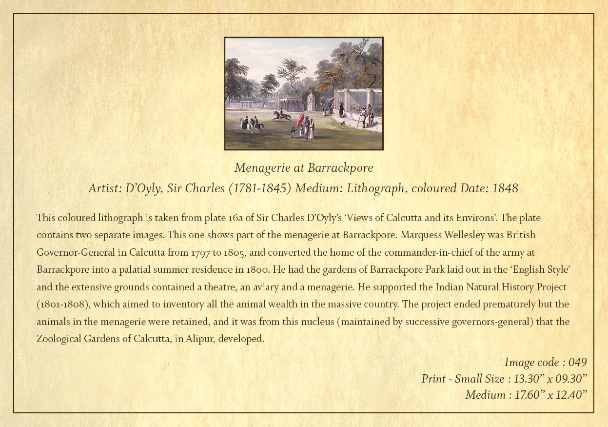 Menagerie at Barrackpore (Code: 049) – Coloured Lithograph